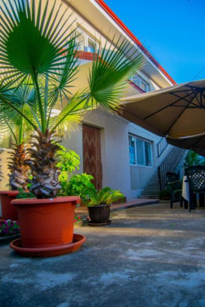 Vila Alexia